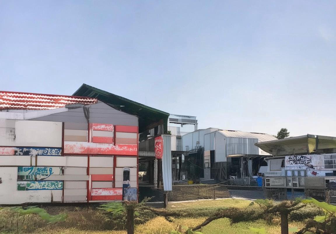 贝林厄姆：足球新星闪耀国际赛场成长之路(图1)